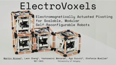 ElectroVoxel