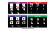 ChromoLCD Slide