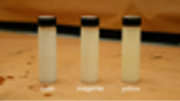 ChromoLCD Slide