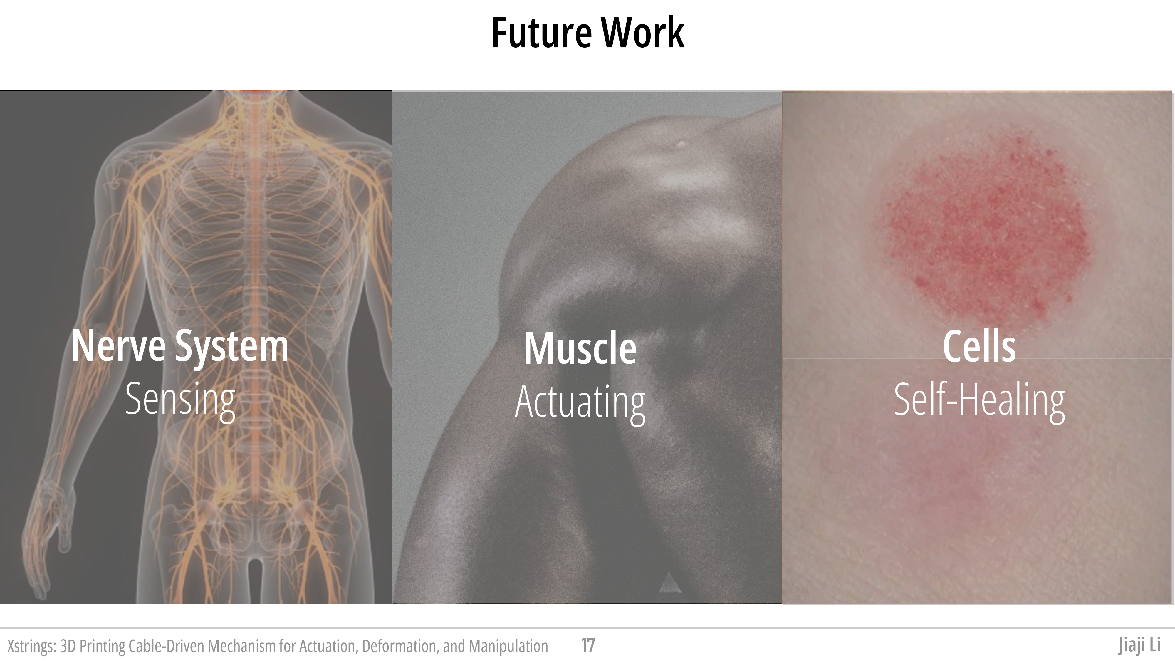 xstrings-3d-printing-strings-together-dynamic-objects