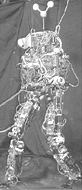 M2 biped body robot built at the MIT Leg Lab