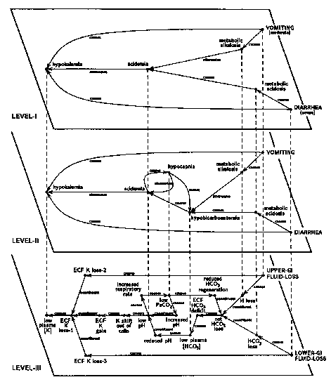 Three-layer pathophsiologic model