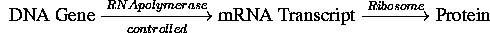 displaymath558
