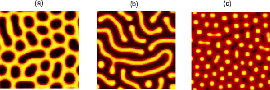 \resizebox*{1.0\textwidth}{!}{\includegraphics{2d_patterns.eps}}