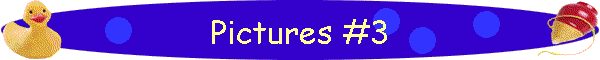 Pictures #3