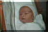 baby2.jpg (25644 bytes)