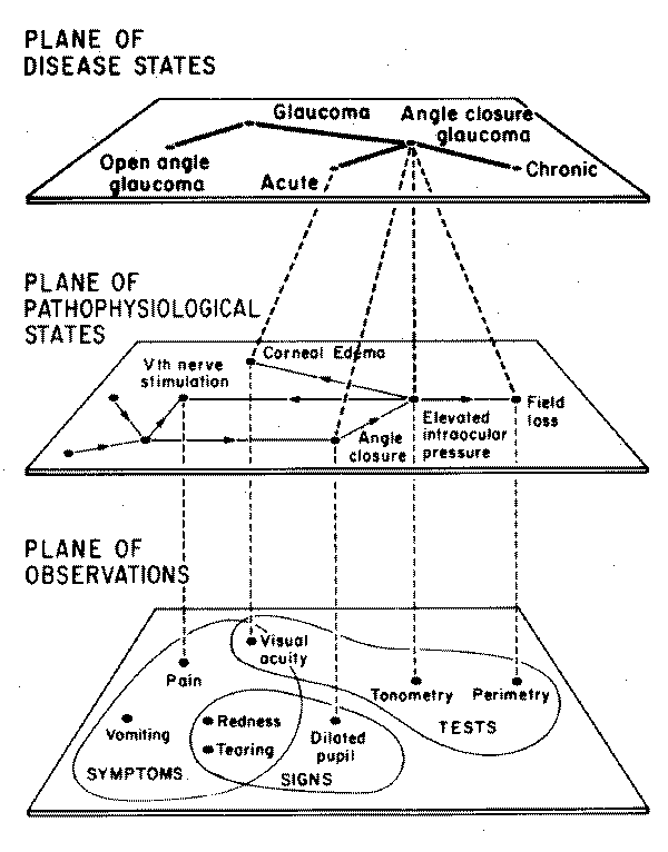 CASNET3layer.gif (29820 bytes)