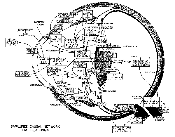 CASNETeye.gif (66932 bytes)